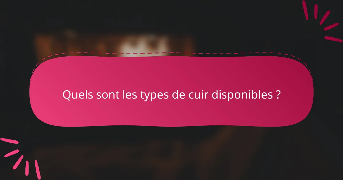 Quels sont les types de cuir disponibles ?