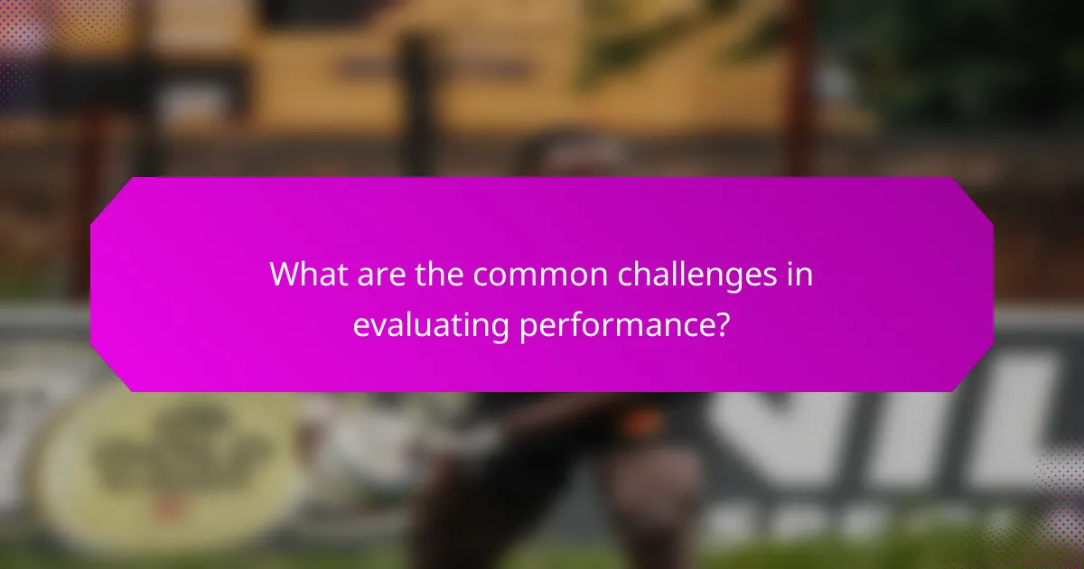 What are the common challenges in evaluating performance?
