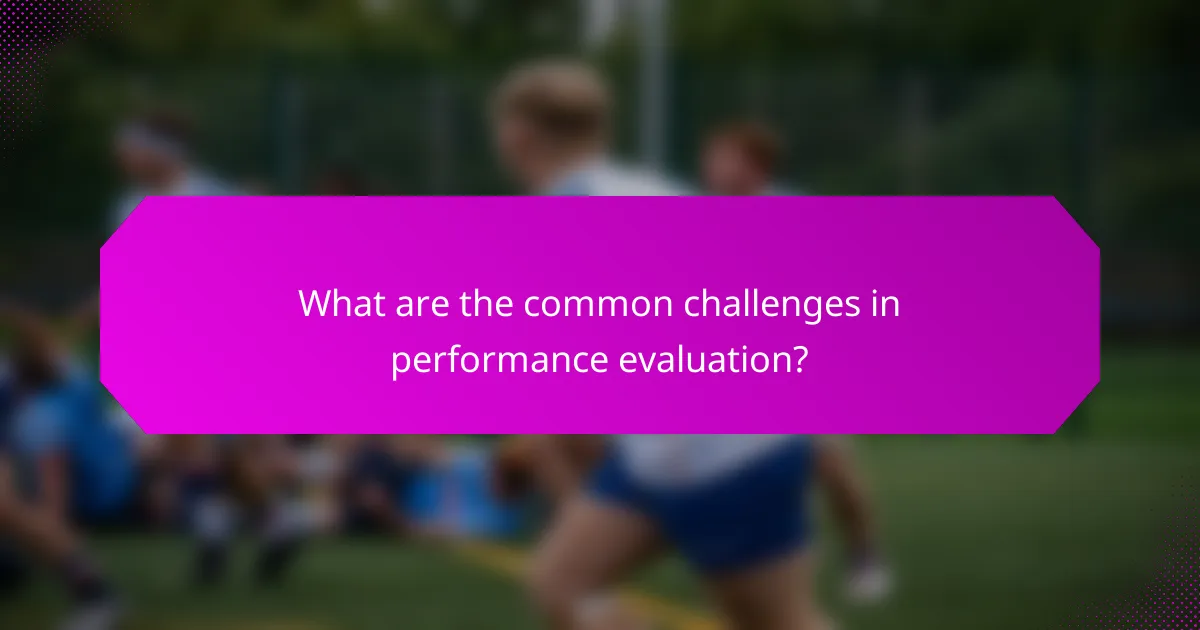 What are the common challenges in performance evaluation?