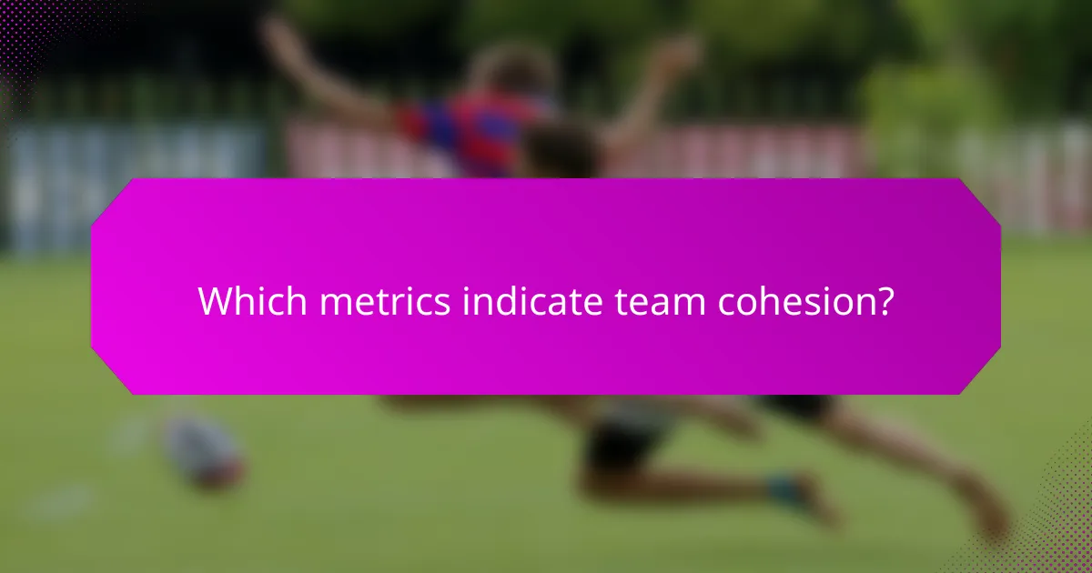 Which metrics indicate team cohesion?